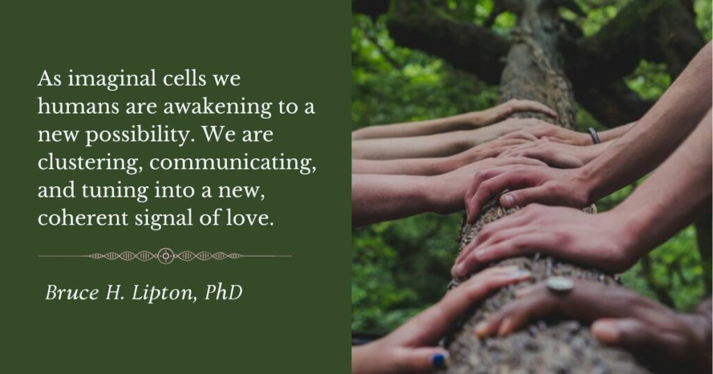 As imaginal cells we humans are awakening to a new possibility. We are clustering, communicating, and tuning into a new, coherent signal of love. -Bruce Lipton, PhD