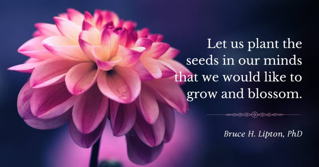 Let us plant the seeds in our minds that we would like to grow and blossom. -Bruce Lipton PhD