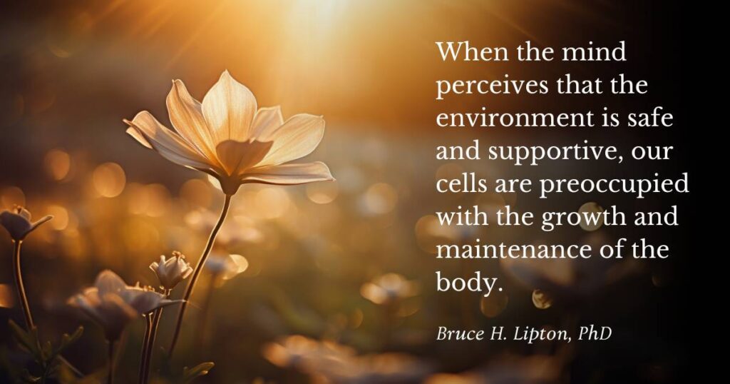 Når sindet opfatter, at miljøet er sikkert og støttende, er vores celler optaget af kroppens vækst og vedligeholdelse. -Bruce Lipton, PhD