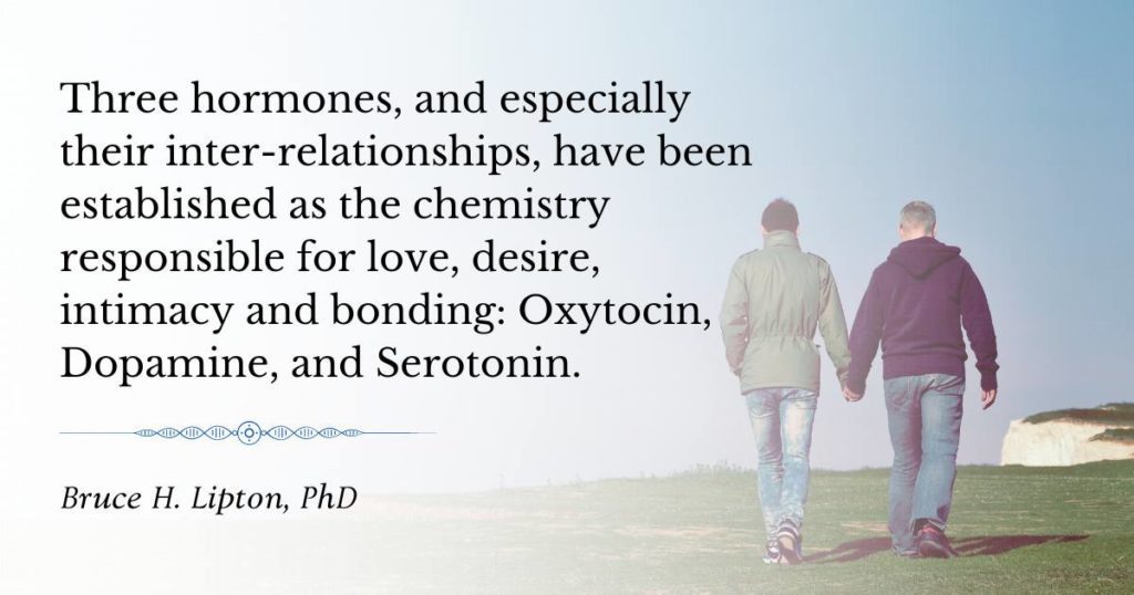 三種激素，尤其是它們之間的相互關係，已被確定為負責愛情、慾望、親密關係和結合的化學物質 催產素、多巴胺和血清素。 -Bruce Lipton 博士
