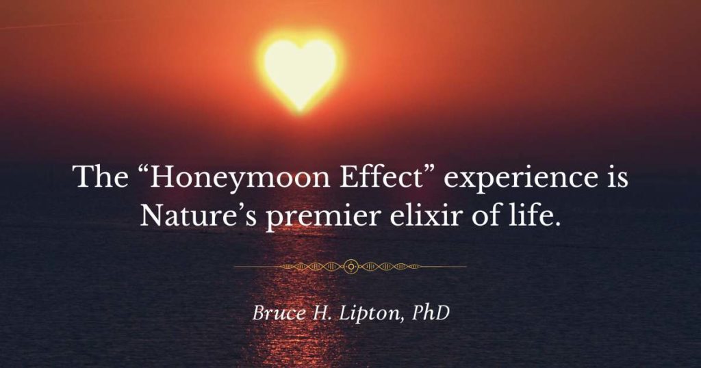 Ang karanasang "Honeymoon Effect" ay ang pangunahing elixir ng buhay ng Kalikasan. -Bruce Lipton, PhD
