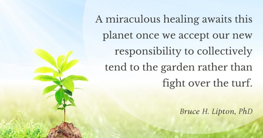 Csodálatos gyógyulás vár ezen a bolygón, ha elfogadjuk új felelősségünket, hogy közösen gondozzuk a kertet, ahelyett, hogy a gyepért harcolnánk. -Bruce Lipton, PhD